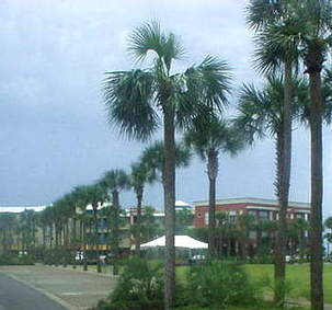 destin area beaches