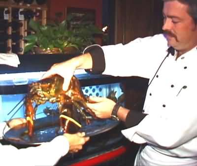 destin florida restaurants Destin Fl Chef At One Of The Local Restaurants