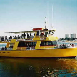 Destin Dolphin Cruise Directory