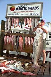 A nice catch by a fisherman on the Gentle Wind