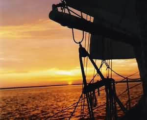 dolphin sail,sunset sail,seashell safari,seniors,adults,destin sailing