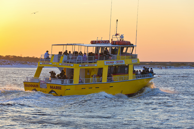 dolphin tours destin fl